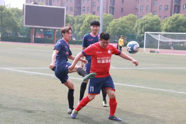 杨老五为何愤怒？称呼背后的含义解析